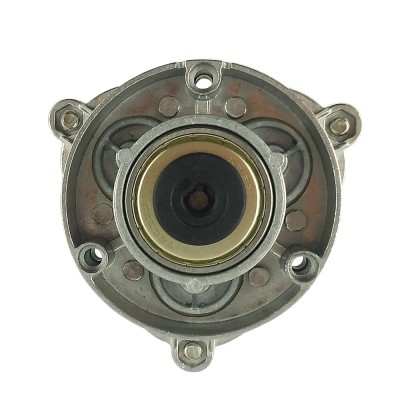 Сменная голова к насосу Raifil RO-500-220 (75 гал)