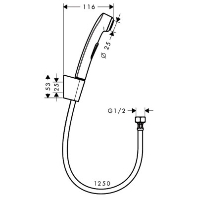 Гигиенический душ со шлангом 1,25 м и держателем Hansgrohe 32129000