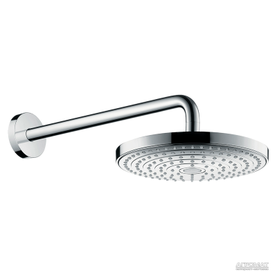 Верхний душ Hansgrohe Raindance Select S 26466400 (240, 2jet)