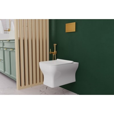 Смеситель для гигиенического душа Invena BP-00-B09 золотой