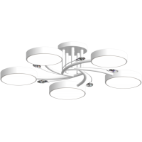 Люстра светодиодная акриловая Sirius B X13255/5 WT белая