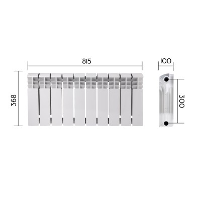 Радиатор биметаллический Thermo Alliance Bi-Ferrum 300/100 1,15 кг